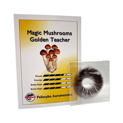 Golden Teacher Zarodniki Odcisk - Sporeprint