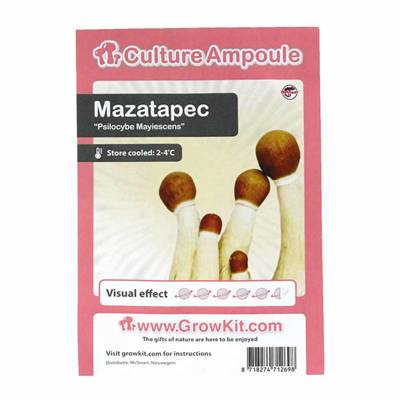 Mazatapec Grzybnia Ampułka