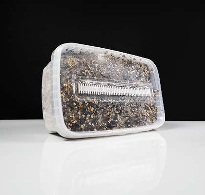 Zestaw do Badań - Growkit Mexicano  1200cc
