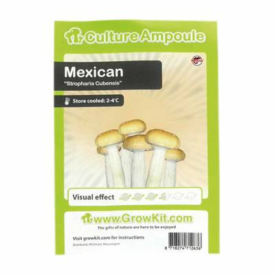 Mexican Grzybnia Ampułka