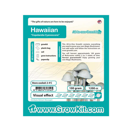 Zestaw do Badań- Growkit  Hawaiian (Copelandia Cyanescens)  1200cc