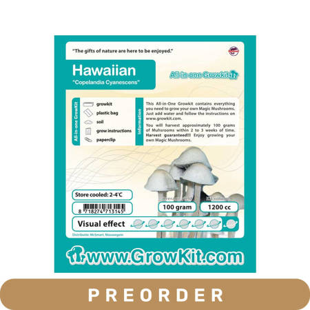 Zestaw do Badań- Growkit  Hawaiian (Copelandia Cyanescens)  1200cc