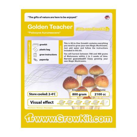 Zestaw do Uprawy - Growkit Golden Teacher 2100cc