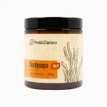 Cordyceps (Maczużnik Chiński)  Polski Zielarz DER 15:1 60g