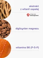 AshwaMag – Ashwagandha + Magnez + B6 850mg 60kaps Slavic Labs - obrazek 2