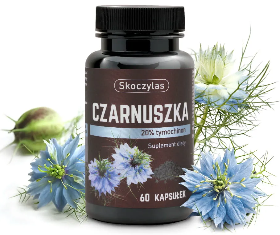 czarnuszka owoc Skoczylas Skoczylas CZARNUSZKA 20% tymochinon 60 kaps - obrazek 1